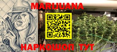 стаф Новозыбков