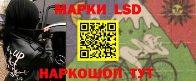 a pvp Новодвинск