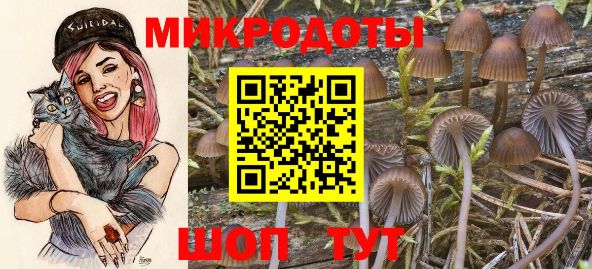 Галлюциногенные грибы прущие грибы  Вход с VPN  Советская Гавань  Псилоцибиновые грибы GOLDEN TEACHER 
